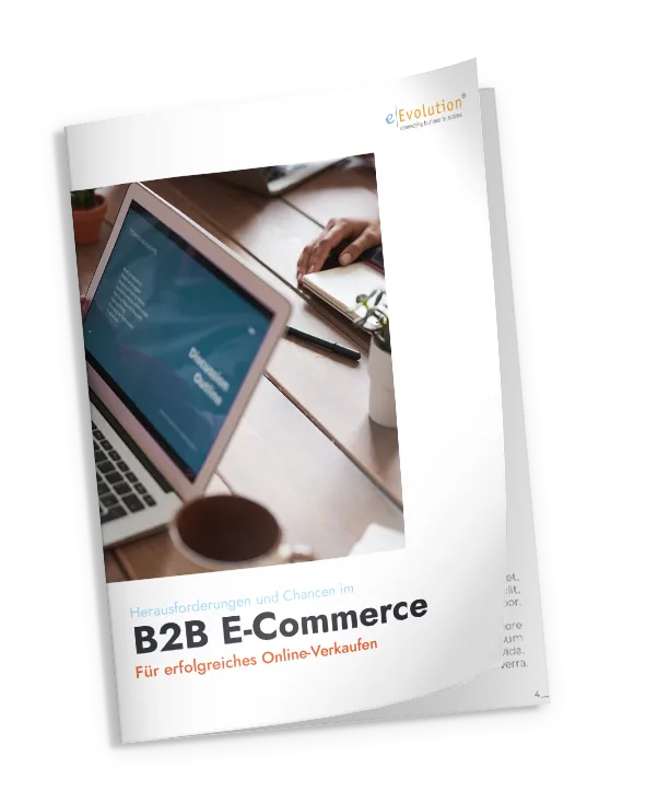 Whitepaper B2B E-Commerce