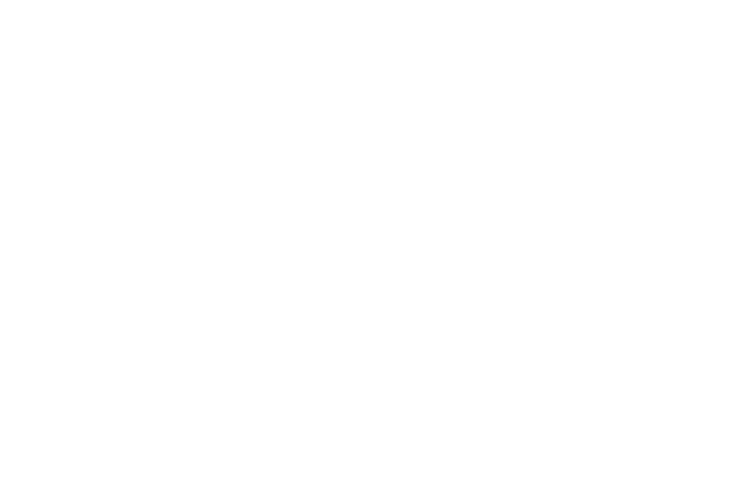 KVD Logo